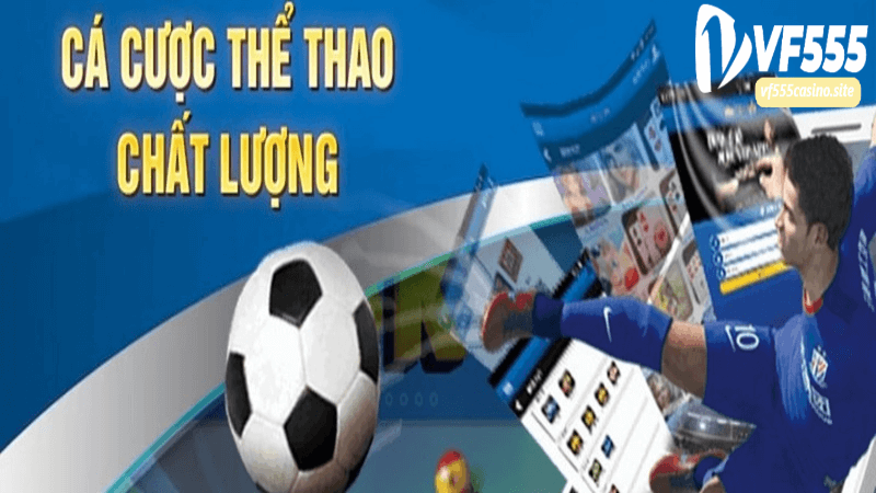 Cách Thực Hiện Cá Cược Thể Thao Vf555