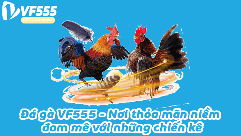 Hướng Dẫn Cách Tham Gia Đá Gà VF555 Casino