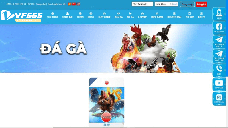 đá gà vf555 casino